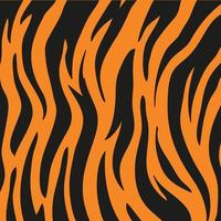 tiger stripes background for decorating the background of wild animals vector