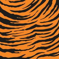 tiger stripes background for decorating the background of wild animals vector