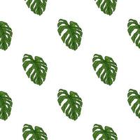 Monstera leaf seamless pattern.Vintage tropical branch in engraving style. vector