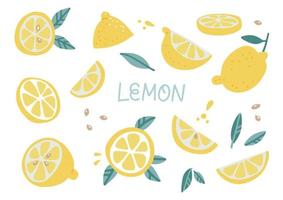 Set of lemon fruit elements isolated on white background. Abstract modern summer organic food. Detox juice collection. Vector hand drawn flat illustration.