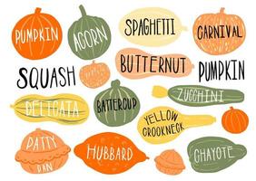 Pumpkin set type name collection.Varieties shape and color.Collection hand drawn element food. vector