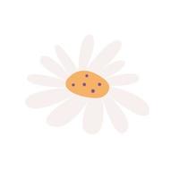 Chamomile, simple design element, vector flat illustration