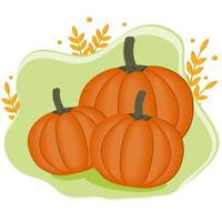 Ilustración de vector de calabaza naranja. calabaza de halloween de otoño, icono gráfico vegetal