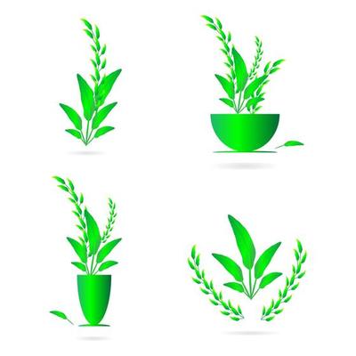 Flowers Potted plant vase green nature wreath abstract background art graphic design vector illustration