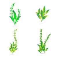 Greenery leaf plants decorative abstract background art graphic design pattern vector illustration