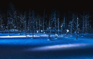 estanque azul en la noche de invierno. campo de la ciudad de biei de hokkaido, japón. foto