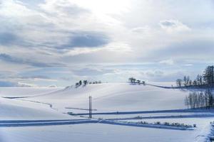 Snow plain of Biei town with small tree on winter. photo