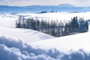 Snow plain of Biei town winter. Hokkaido, Japan. photo