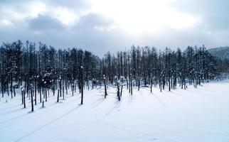 estanque azul en invierno con nieve cubierta por la mañana. foto