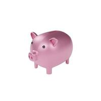 3D rendering Piggy bank front view isolated on white background close up photo
