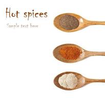 Various of hot spices in wooden spoons photo