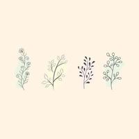 Set of hand drawn floral elements. doodle plants with leafs, vector flowers collection