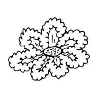 Vector simple flower doodle clipart. Hand drawn floral illustration isolated on white background. For print, web, design, decor, logo.