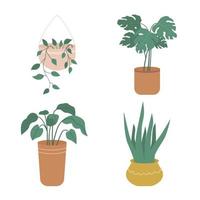 colección de plantas en maceta. conjunto de plantas de interior en macetas y jardineras de estilo plano. ilustración vectorial aislado sobre fondo blanco vector