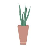 House plant in pot or planter. Potted plant in flat style. Vector illustration isolated on white background