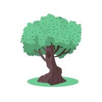 Summer green tree, garden or forest elements for design. Isolated vector illustration on white background.