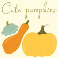 Cute pumpkin of various shapes and colors. Thanksgiving and Halloween elements. Flat vector illustration