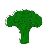 Hand drawn broccoli. vector