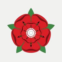 Red Rose of Lancaster Drawing Illustration on Grey background. vector