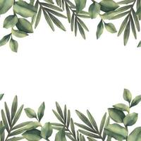 Watercolor frame of green tropical branches. Hand painted floral border with tree branches isolated on white background. vector