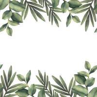 Watercolor frame of green tropical branches. Hand painted floral border with tree branches isolated on white background. vector