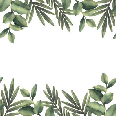 Watercolor frame of green tropical branches. Hand painted floral border with tree branches isolated on white background.