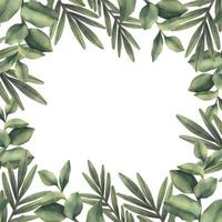 Watercolor frame of green tropical branches. Hand painted floral border with tree branches isolated on white background. vector