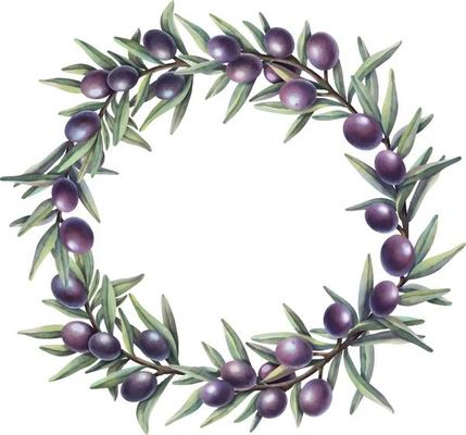 Watercolor wreath of olive branches with fruits. Hand painted floral circle border with olive fruit and tree branches isolated on white background.