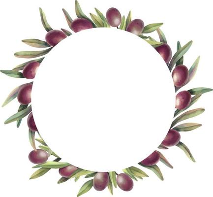 Watercolor frame of olive branches with fruits. Hand painted floral circle border with  purple olive fruit and tree branches isolated on white background.