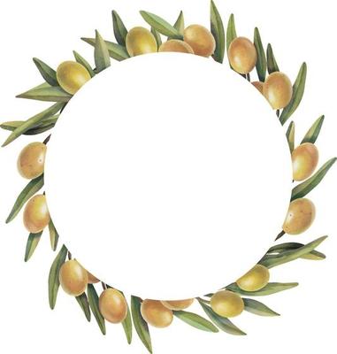 Watercolor frame of olive branches with fruits. Hand painted floral circle border with yellow olive fruit and tree branches isolated on white background.
