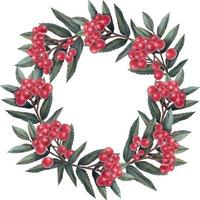 Watercolor wreath of red rowan branches. Hand painted floral circle border isolated on white background. vector