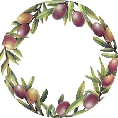 Watercolor frame of olive branches with fruits. Hand painted floral circle border with yellow purple olive fruit and tree branches isolated on white background.