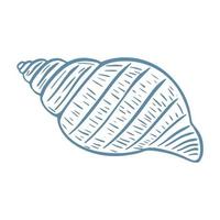Single seashell isolated vector illustration