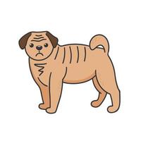 Pug isolated vector illustration