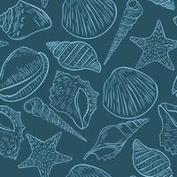 Blue background with sketch clams and sea shells vector