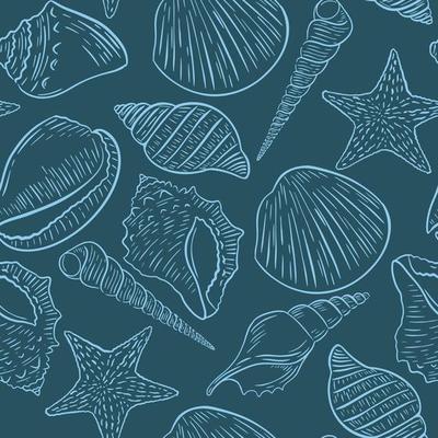 Blue background with sketch clams and sea shells