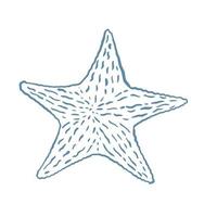 ilustración de vector de dibujo de estrella de mar