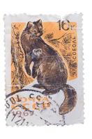 USSR - CIRCA 1967. A stamp printed in  shows series of wild photo