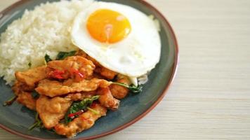 stir-fried fried fish with basil and fried egg topped on rice - Asian food style video