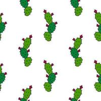 Cactus, Opuntia with fruits seamless pattern on white background. vector