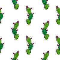 Cactus, Opuntia with fruits seamless pattern on white background. vector