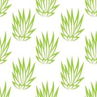 Linear succulent bush seamless pattern on white background. vector
