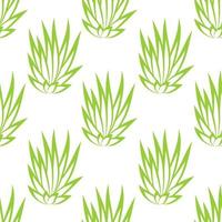 Linear succulent bush seamless pattern on white background. vector