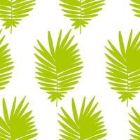 Tropical background with  hand drawn palm leaves on white. Tropic seamless pattern. vector