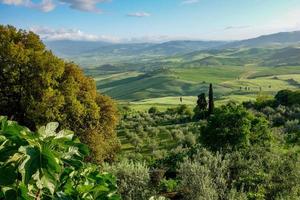 campo de val d'orcia cerca de pienza en toscana foto