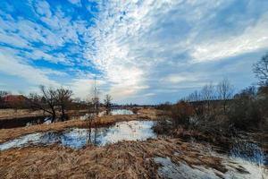 Northern swamps in early spring. Eco hiking. Ecological tourism. The concept of connecting with nature. photo