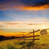 valla de madera - hermoso prado cubierto de flores silvestres foto