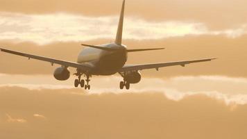 avión saliendo al atardecer video