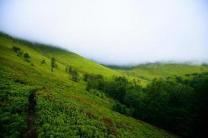 View of misty mountains in autumn photo