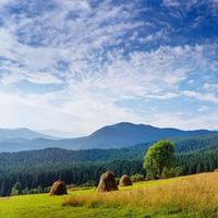 Beautiful sunny day is in mountain landscape. Carpathian, Ukrain photo